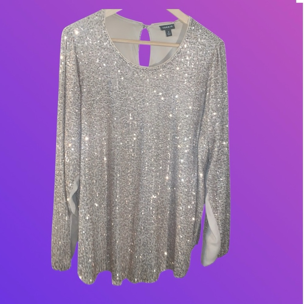 Plus size 18-20 (2x) Silver Sequin Long Sleeve Top